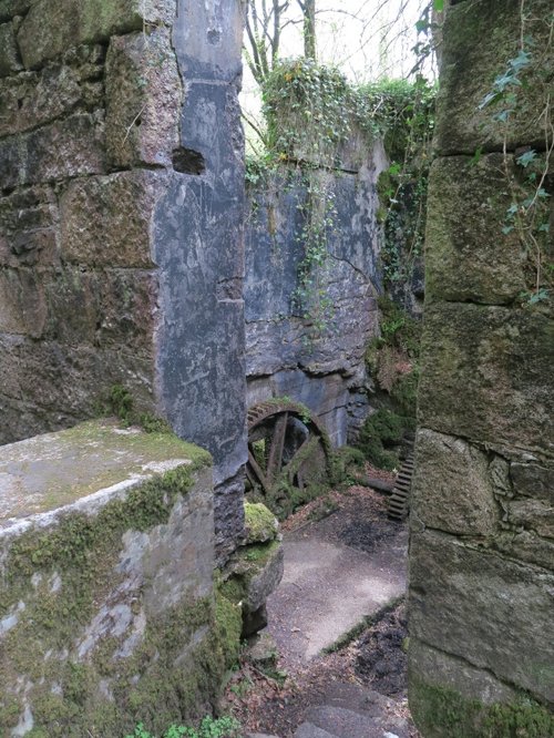 Kennall Vale Nature Reserve