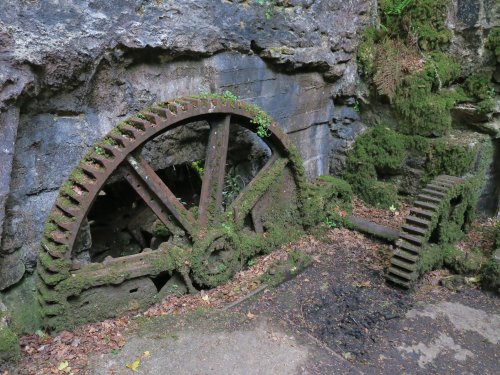 Kennall Vale Nature Reserve