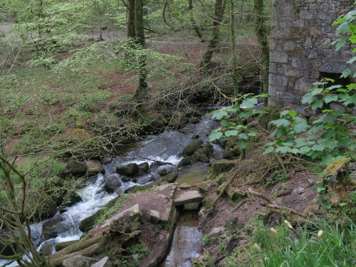 Kennall Vale Nature Reserve