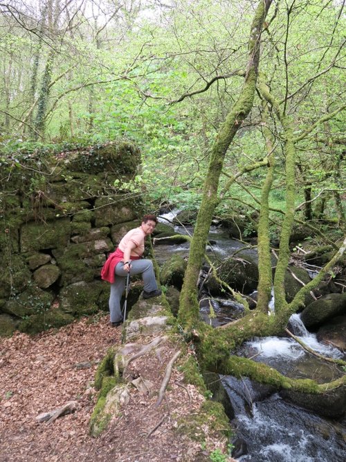 Kennall Vale Nature Reserve