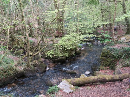 Kennall Vale Nature Reserve