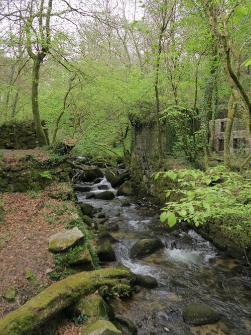 Kennall Vale Nature Reserve