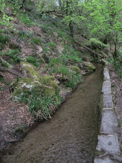 Kennall Vale Nature Reserve