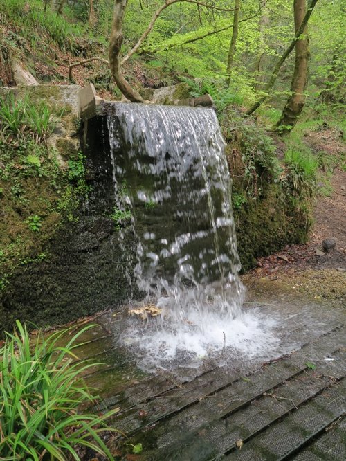 Kennall Vale Nature Reserve