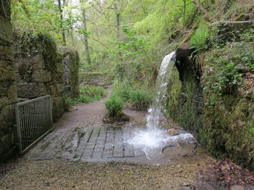 Kennall Vale Nature Reserve