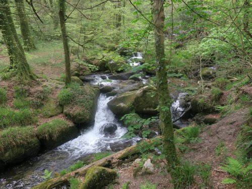 Kennall Vale Nature Reserve