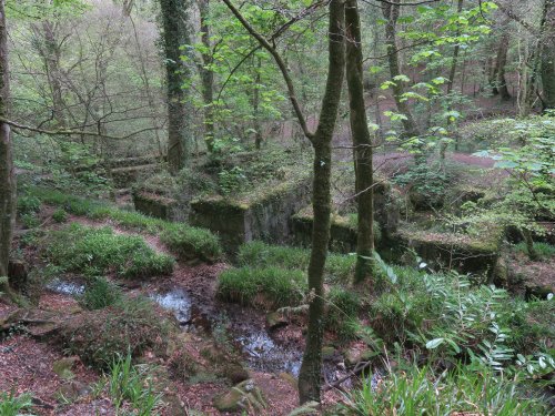 Kennall Vale Nature Reserve