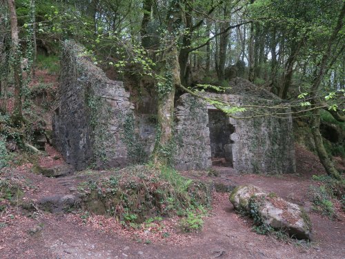 Kennall Vale Nature Reserve, Cornwall