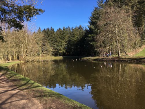 Lake in Hardwick Park, Sedgefield, County Durham.