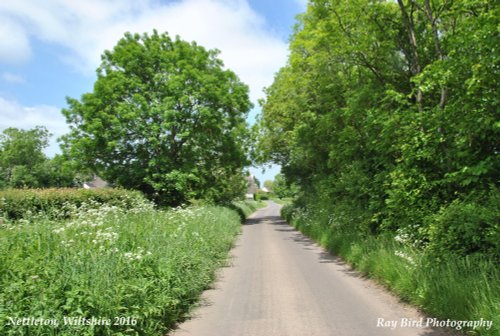 Nettleton, Wiltshire 2016