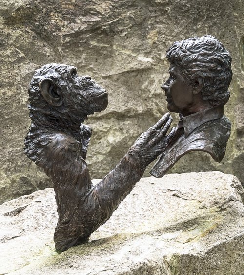 Jim Cronin Memorial, Monkey World, Wareham, Dorset.