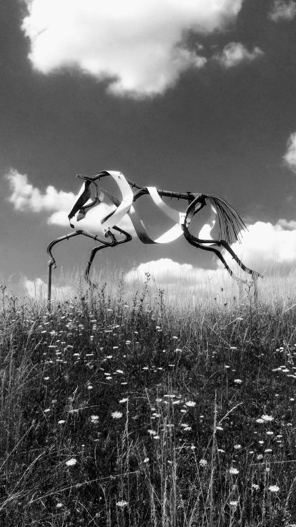 Hollow Horse at Solstice Park, Wiltshire.