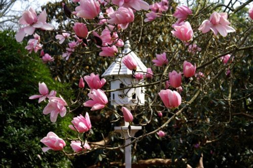 Lost Gardens of Heligan