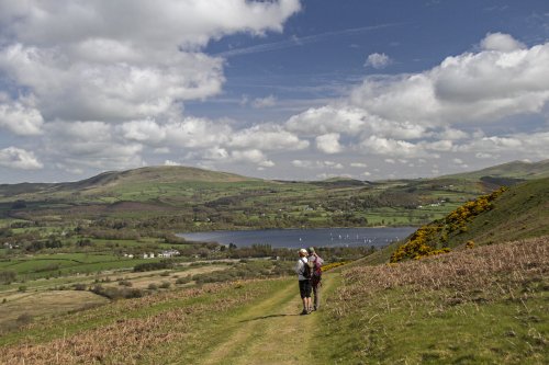 Bassenthwaite Lake from Sale Fell
