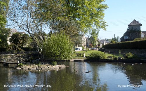 The Village Pond, Alderton, Wiltshire 2012