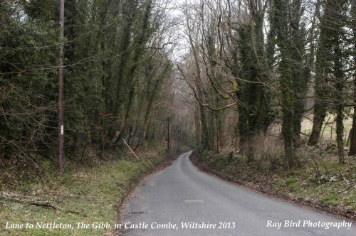Lane to Nettleton, The Gibb, nr Castle Combe, Wiltshire 2013