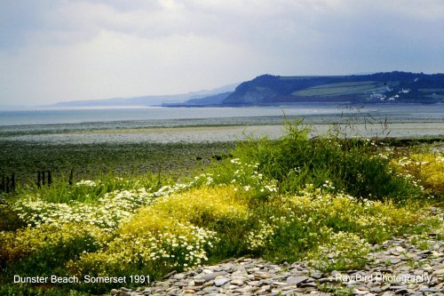 Beach, nr Dunster, Somerset 1991