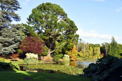 Sheffield Park & Garden