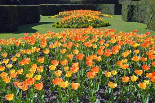 Mottisfont Abbey & Gardens