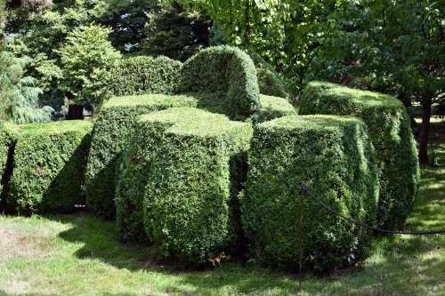 Nymans Garden, topiary