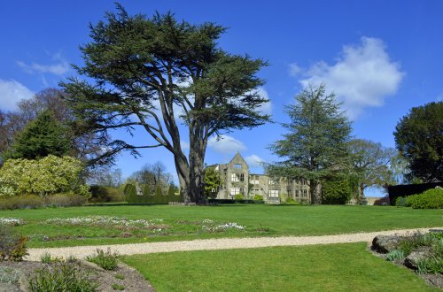 Nymans Garden