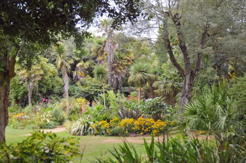 Abbotsbury Sub-tropical Gardens