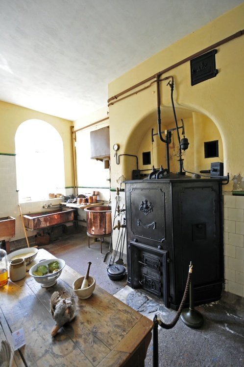 Petworth House & Park