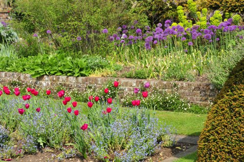 Hinton Ampner Garden