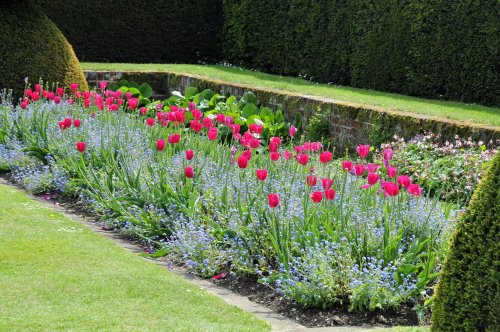 Hinton Ampner Garden