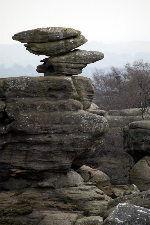 Brimham Rocks Country Park