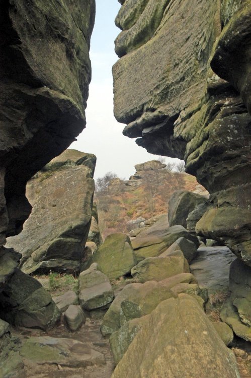 Brimham Rocks Country Park