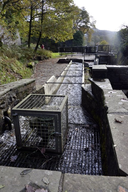 Aberdulais Falls & Historic Site