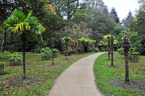 Sheffield Park Garden, Uckfield