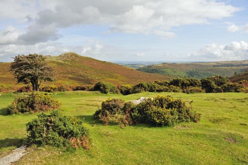 Dartmoor National Park