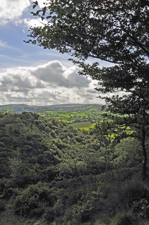 Dartmoor National Park