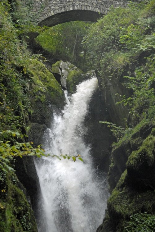 Aira Force