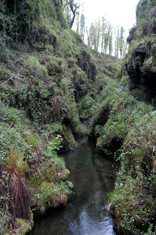 Lydford Gorge