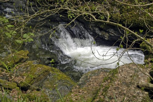 Lydford Gorge