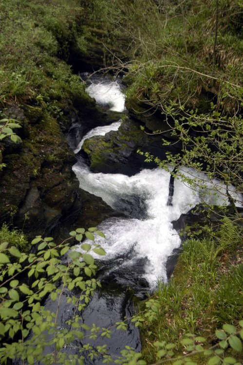 Lydford Gorge