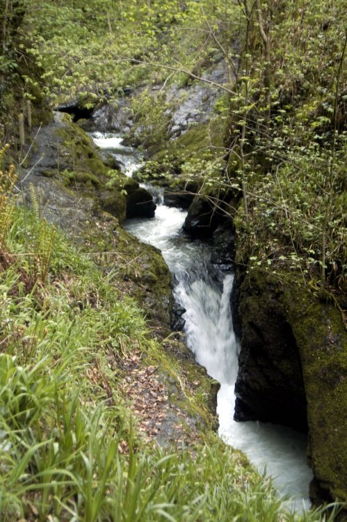 Lydford Gorge