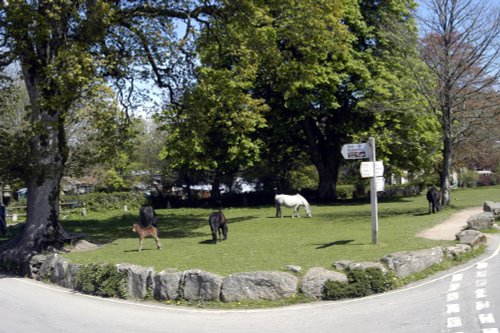 Dartmoor National Park