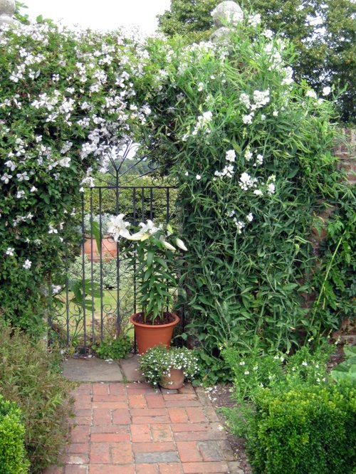 Knole House & Deer Park