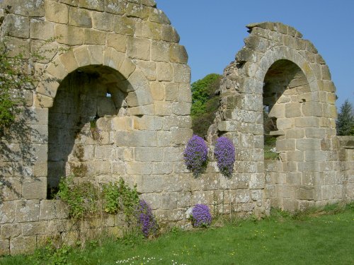 Jervaulx Abbey