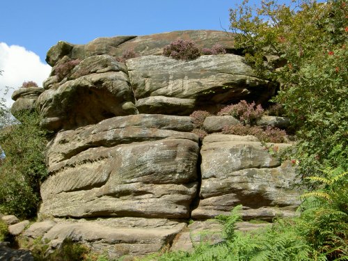 Brimham Rocks Country Park