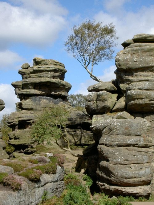 Brimham Rocks Country Park