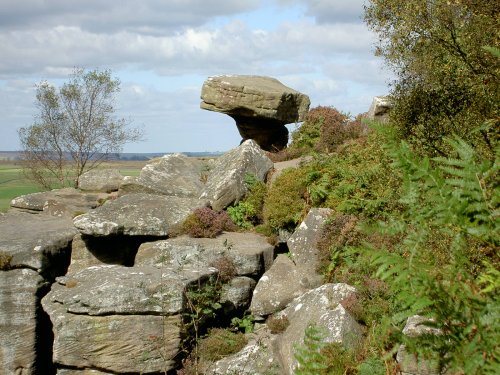 Brimham Rocks Country Park
