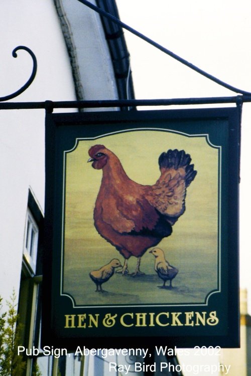 Hen & Chickens Pub Sign, Abergavenny 2002