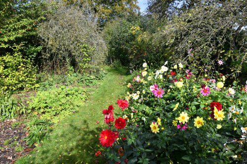 Hinton Ampner Garden
