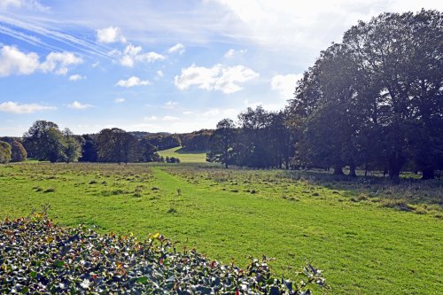 Hinton Ampner Garden