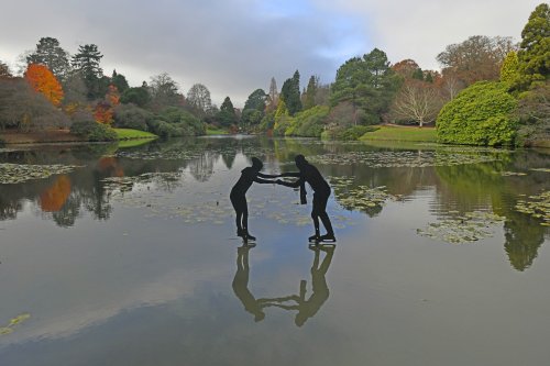 Sheffield Park Garden